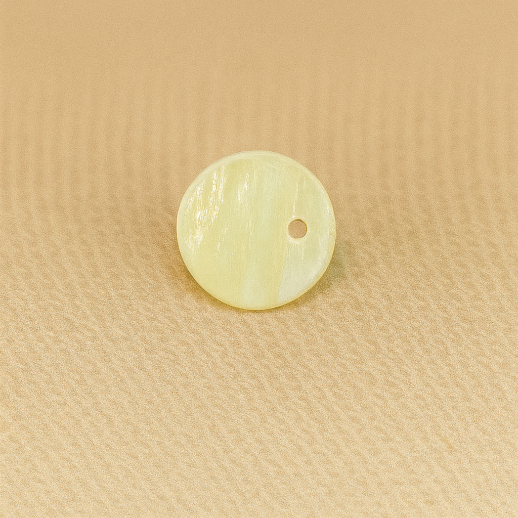 Round Shell Button