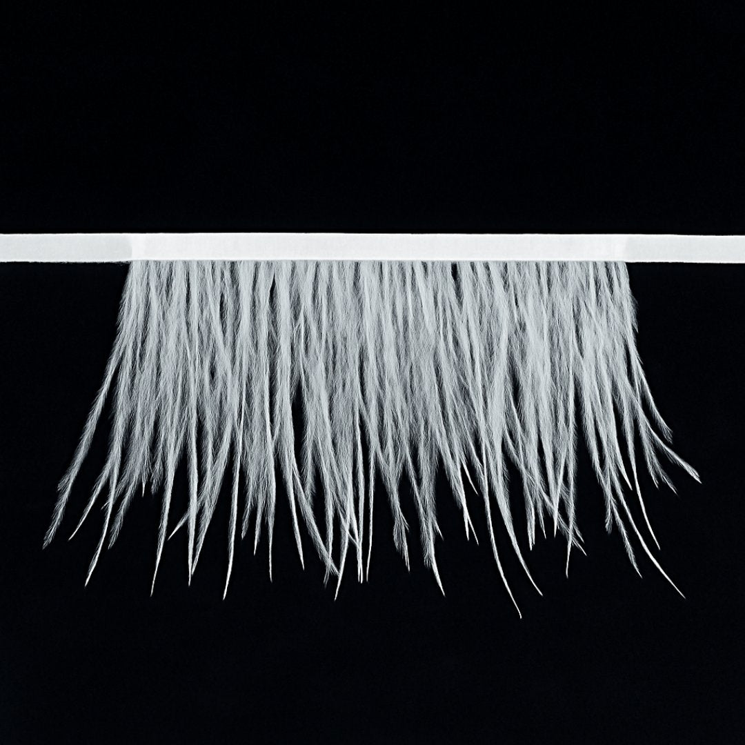 Feather