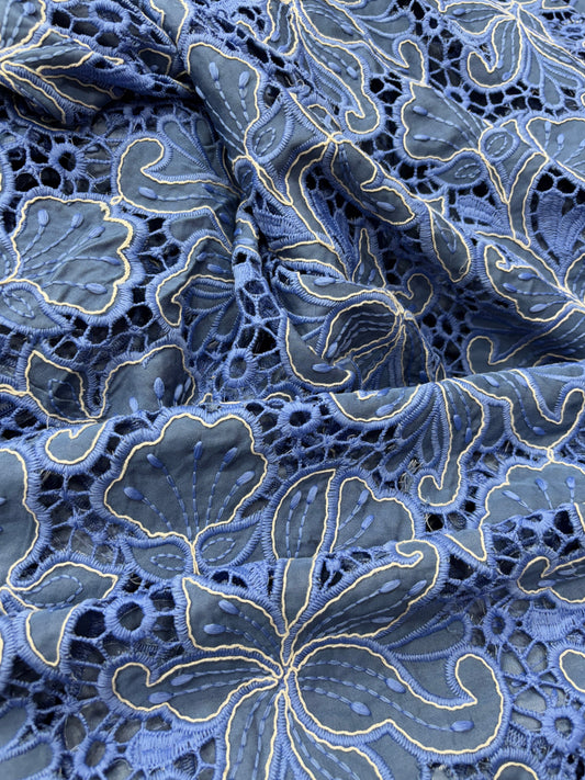 Neelkamal Lace (Net with Denim)