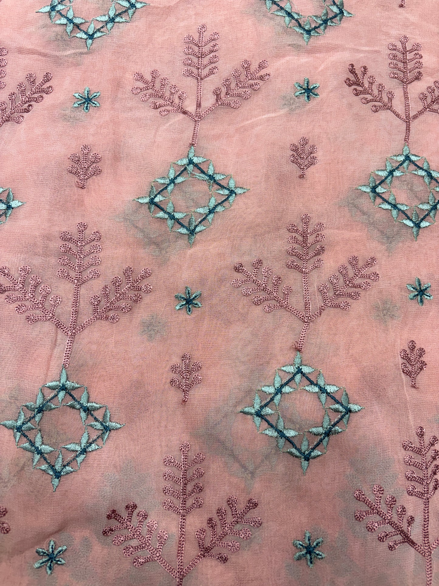 Birdsong Bloom Embroidered Organza (Gorjet with Suta Work)