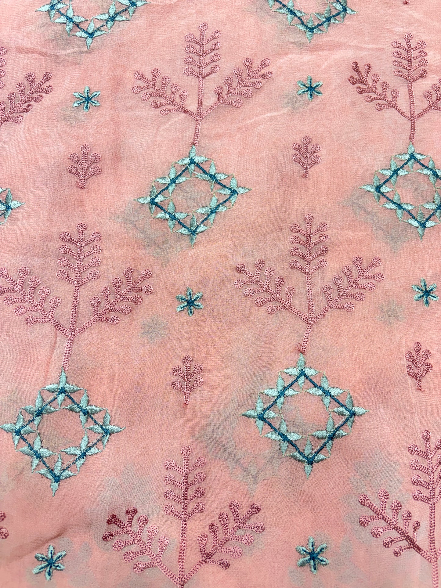 Birdsong Bloom Embroidered Organza (Gorjet with Suta Work)